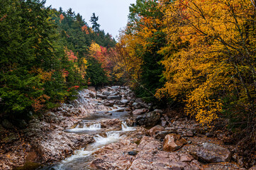 Wall Mural - autumn in the mountains