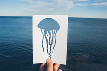 Jellyfish And Sea View