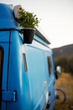 Detail Of Plant In A Pot On A Blue Van