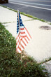 © CWP, LLC/Stocksy - Small USA Flag placed in the front lawn during on Independance day.
