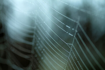 Dark and moody macro of a dewy spider web