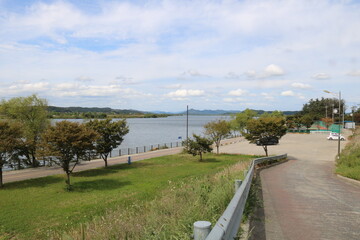 Wall Mural - view of the river