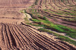 Abstract rural landscape. The field is divided by a country road into two parts. One part is plowed, the second with the harvest.