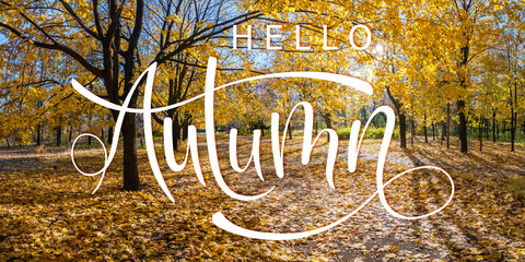 Wall Mural - autumn banner with landscape and text