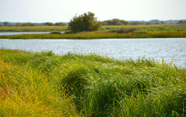 North-European autumn landscape with floodplain meadows and lakes in the sunny day  