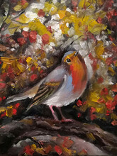 Cute A British Red Robin Birds. Oil Painting On Canvas. Autumn Background.