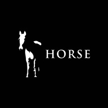 Simple Black Horse Vector Outline - Monochrome Horse Emblem Design