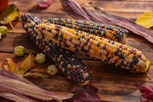 Native American Corn On A Wooden Background