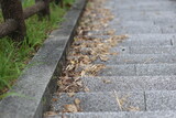 Fototapeta Sawanna - 階段の隅