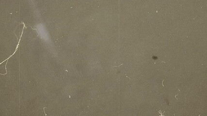 Wall Mural - 8 mm cinema background loopable. old film effect.