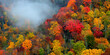 © larryknupp - Misty autumn forest in Great Smoky Mountains National Park