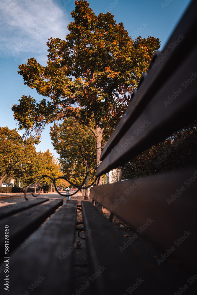 Bench in the autumn park - obrazy, fototapety, plakaty 