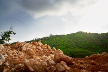 Wall Mural - Landscape of mountain view with brown stone rock and green forest background