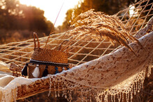 Boho Style, Hammock In Spikelet Background At Sunset. Lightness And Simplicity. 