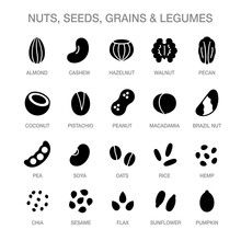 Nuts, Seeds, Grains Icons