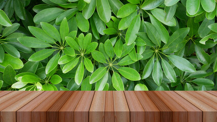 Wall Mural - water drop on green grass and wooden table for product display