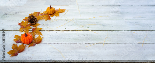 Cuadros en Lienzo illustration sur la saison de l'automne représente par des feuilles citrouille e