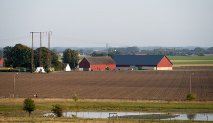 Wall Mural - Red farm buildings and barns in the middle of the flat farmlands of Skåne (Scania) during summer in Sweden