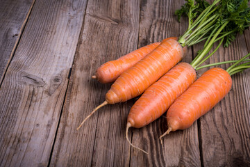 Fresh carrot on a  rustic wooden background