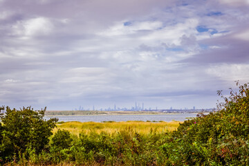 Tall grass field with and bushes over pond with nyc buildings in the background