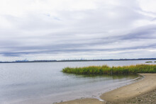 Bay With Sand And Grass At Jamaica Bay Wildlife Refuge With Nyc Background