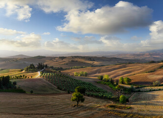 Wall Mural - beautiful tuscan landscape, val d'orcia region in italy