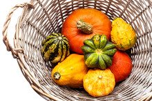 Multi-colored Pumpkins In A Wicker Basket On A White Background. Isolate