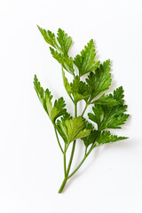 fresh parsley on the white background