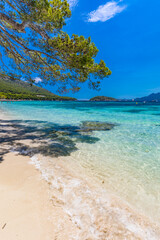 Wall Mural - platja de formentor - beautiful beach at cap formentor, mallorca, spain