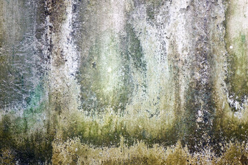 Wall Mural - Weathered wall background and texture. Cement wall with algae, mold and lichen
