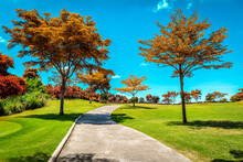 The Road Way For Golf Cart And Golfer  In Golf Course With Green Grass ,green Trees Blue Sky White Clouds Background