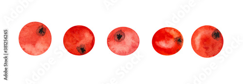 Fotografía Clipart set of five red, juicy berries without branches