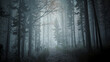 Forêt obscure et humide dans le brouillard et la brume avec peu de lumière