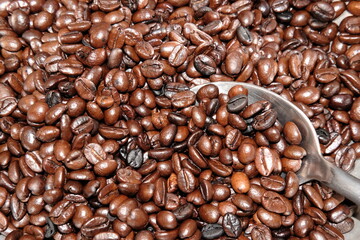 Poster - coffee beans background