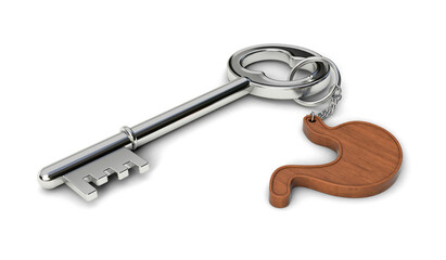 Metal key with wooden Stomach shaped keychain isolated on white background. Stomach concept. 3d illustration.