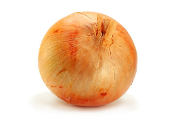 Yellow onion vegetable