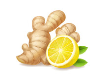 Lemon And Ginger Root Isolated Realistic Illustration. Tea Or Lemonade Ingredients