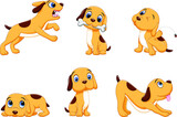 Fototapeta  - Illustration of cartoon dog collection set