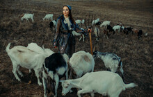 Woman Farmer Stands With Pitchfork Among A Herd Of Goats.