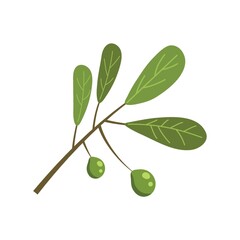 Wall Mural - Olives