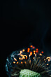 closeup of white dandelion fluffs on fire