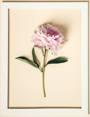 Wall Mural - flat-lay of beautiful peony flower and white wooden frame over yellow background