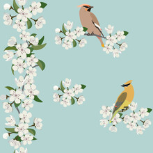 Seamless Beautiful Vector Illustration With Blooming Apple And Bird