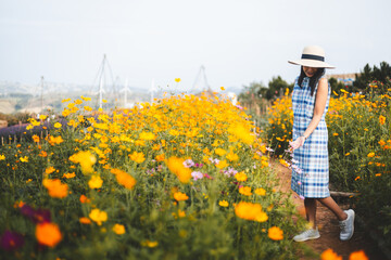 Wall Mural - Traveler asian woman travel in flower garden in Phetchabun Thailand