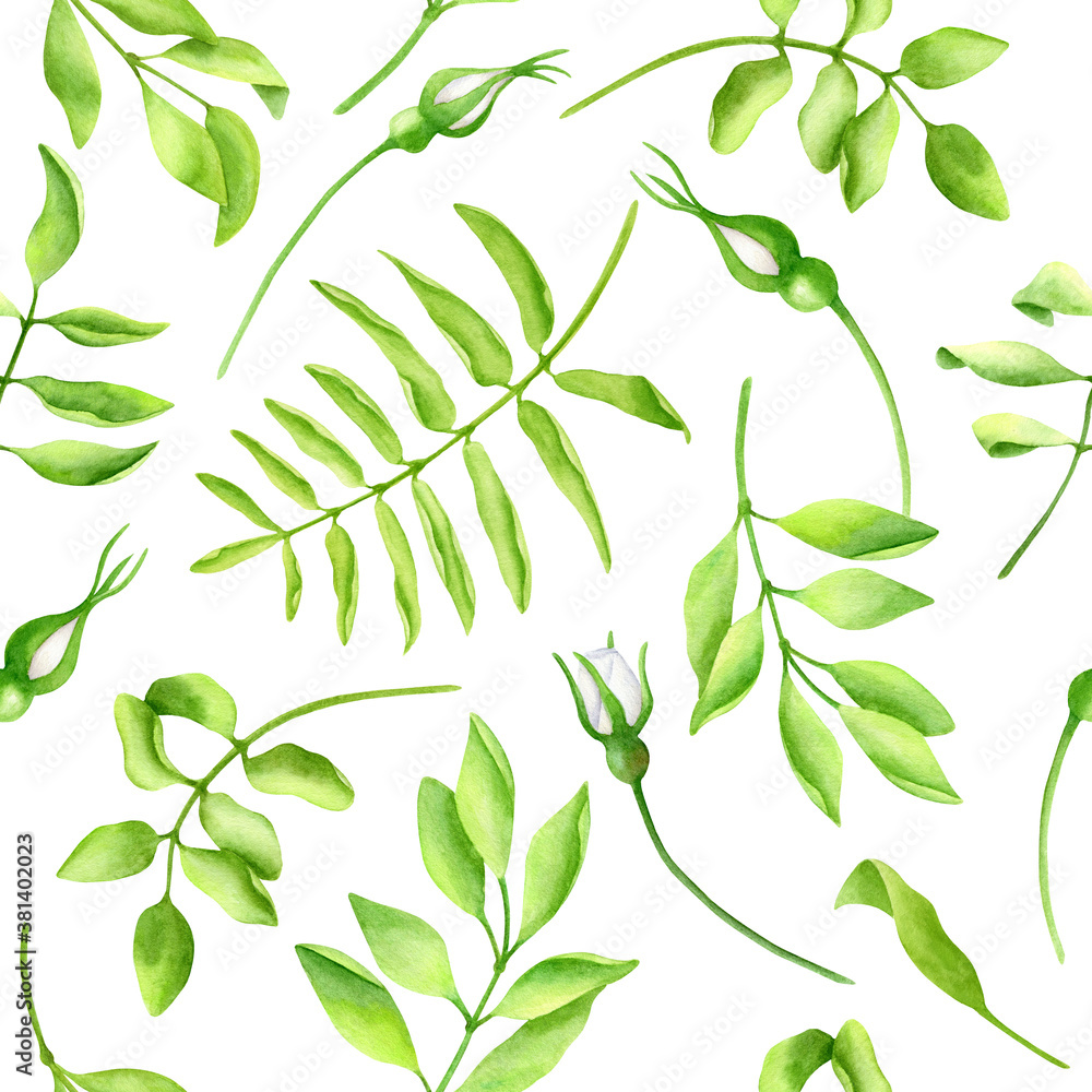 Watercolor lush greenery seamless pattern. Hand painted green leaves and white roses buds isolated on white background. Texture design for wallpaper, cards, decoration, wrapping paper, textile - obrazy, fototapety, plakaty 