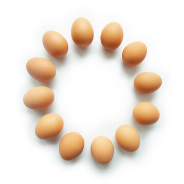 Wall Mural -  - Brown chicken eggs in circle sharp on white background.