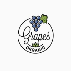 Wall Mural - Grapes logo. Round linear logo of organic grapes