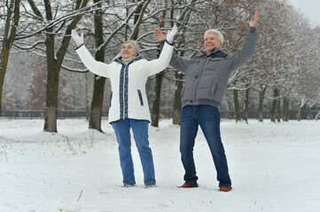 Canvas Print - Happy senior couple at snowy winter park with hands up