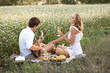 © julia - girl listening to the guy playing the guitar on a summer meadow
