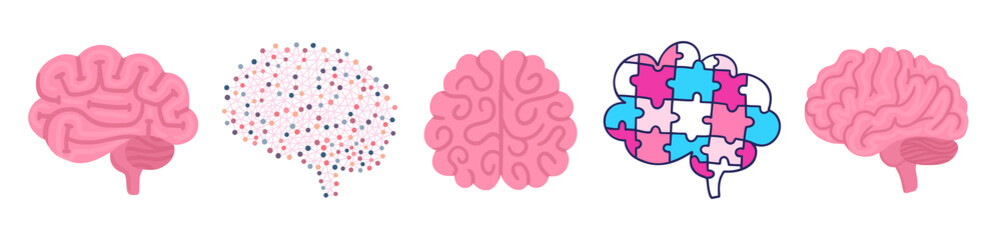 Set of vector brains. Illustrations for label of medicine, advertisement poster or banner for psychologist or department of neurology, design for website or article about mental health or neuroscience
